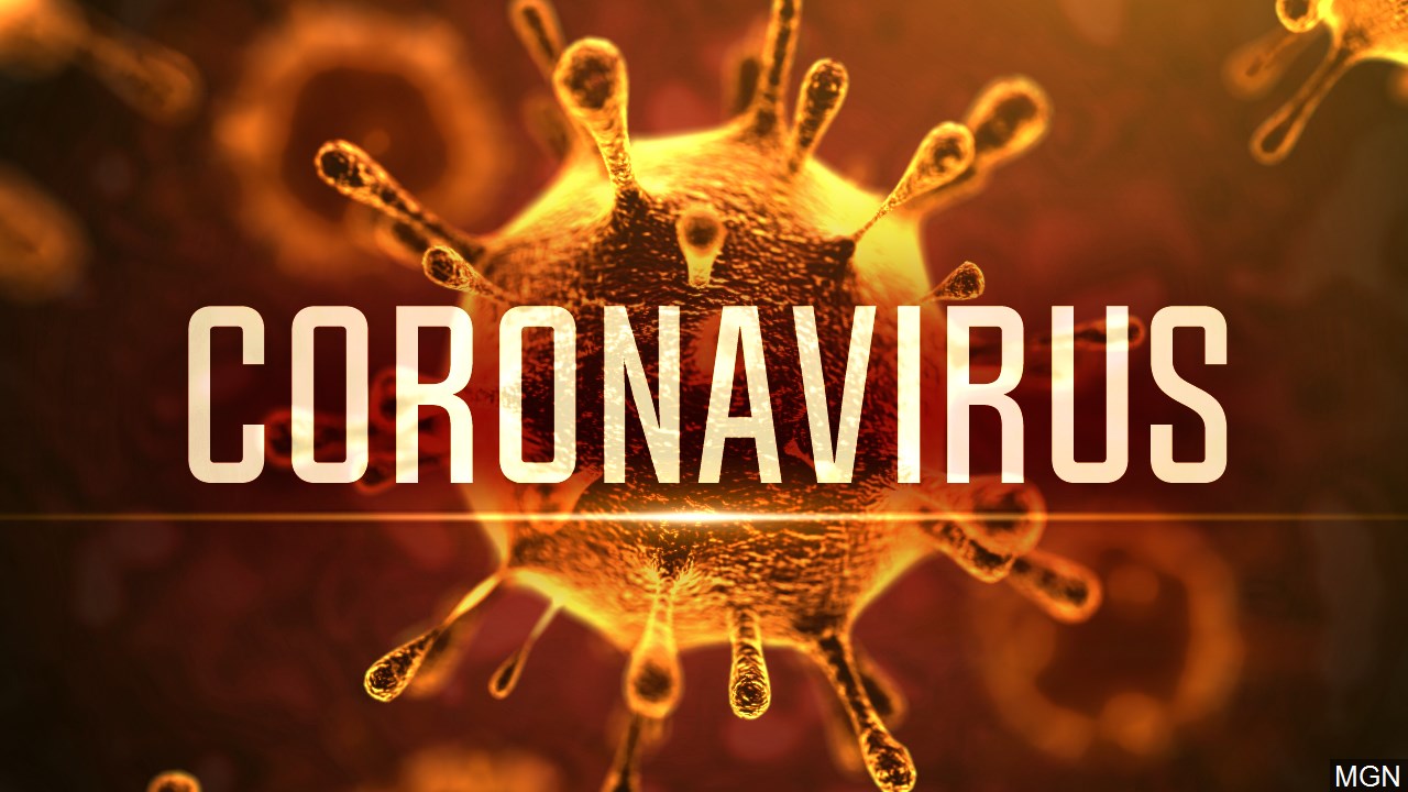 Corona Virus Image